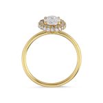Oval Ringe Halo